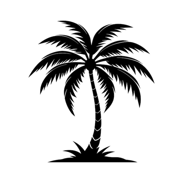 Plik wektorowy a palm tree black silhouette vector on a white background