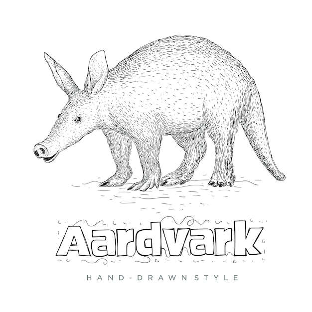 Aardvark Ręcznie Rysowane Ilustracji Zwierząt