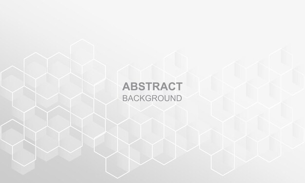 Abstrakcyjna Geometryczna Prezentacja Firmy Broszura Koncepcja Technologii Srebrny Biały Projekt Tła