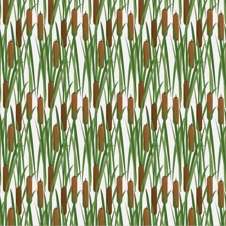 Wektor abstrakt bezszwodowa trawa bagnista z wzorem ogonów mniejszy bulrush wąski liść ogonów reedmace art