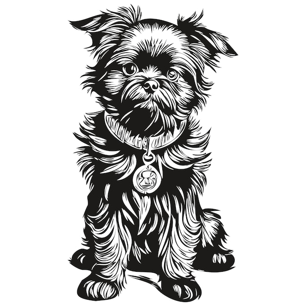 Plik wektorowy affenpinscher pies logo wektor czarno-biały vintage ładny pies głowa grawerowane realistyczne rasy zwierząt domowych