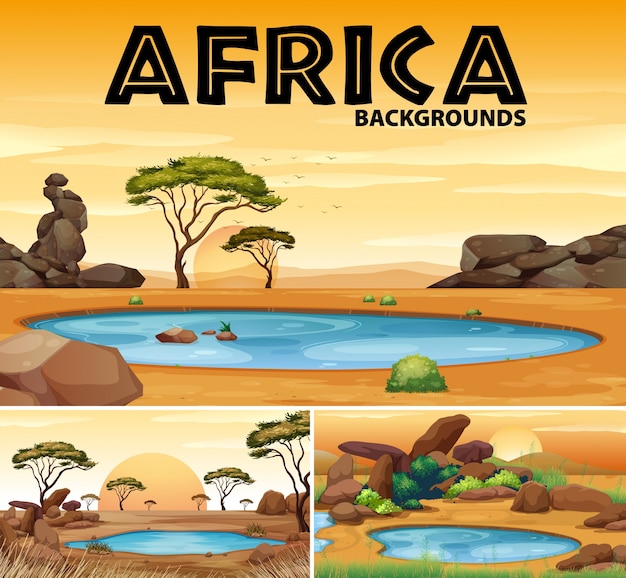 Afryka Tła Z Małych Stawów I Drzew