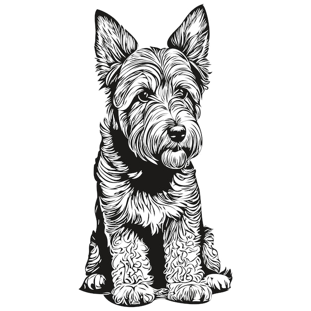 Plik wektorowy airedale terrier pies wektor twarz rysunek portret szkic styl vintage przezroczyste tło rysunek szkicu