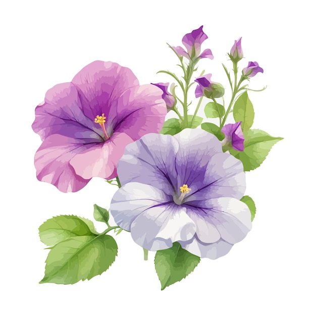 Akwarel Fantasy Petunias Clipart Edytowalne Białe Tło