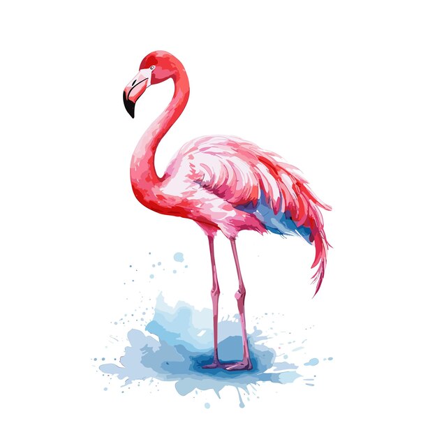 Plik wektorowy akwarel flamingo ilustracja wektorowa rysunek ptaka