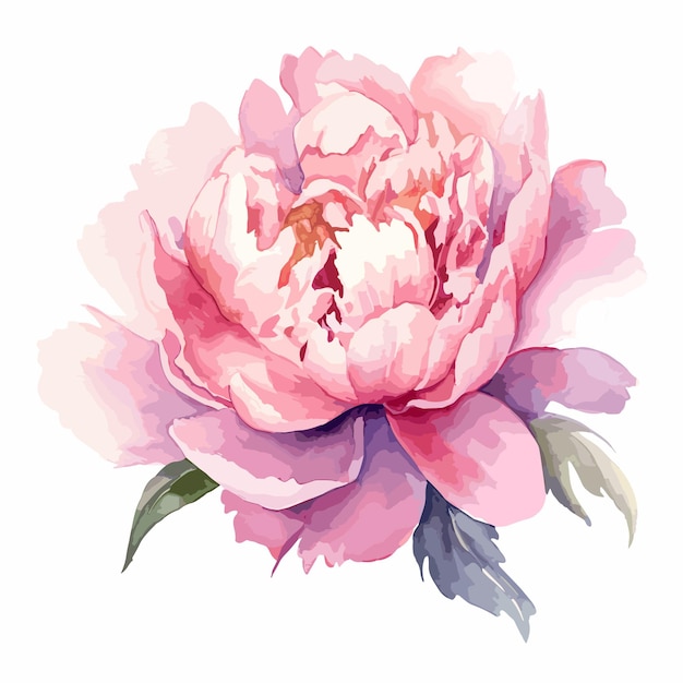 Plik wektorowy akwarel różowy kwiat cyfrowa ilustracja bukiet kwiatów w stylu vintage