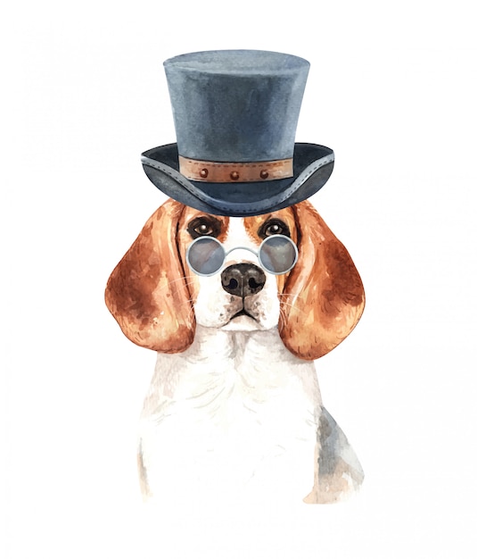 Plik wektorowy akwarela beagle z okularami przeciwsłonecznymi i top hat.