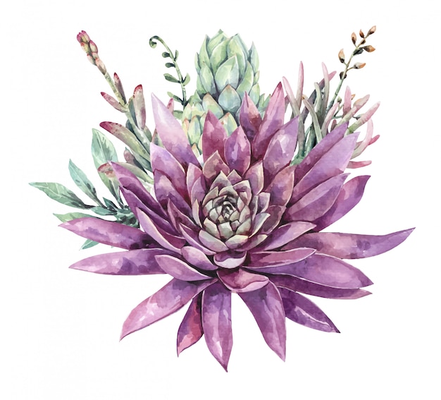 Plik wektorowy akwarela bukiet kaktusów i sukulentów. soczysta farba. fioletowy kwiat.
