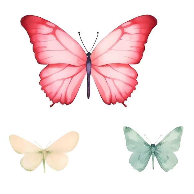 Akwarela Clipart-owad-motyl W Wielu Kolorach