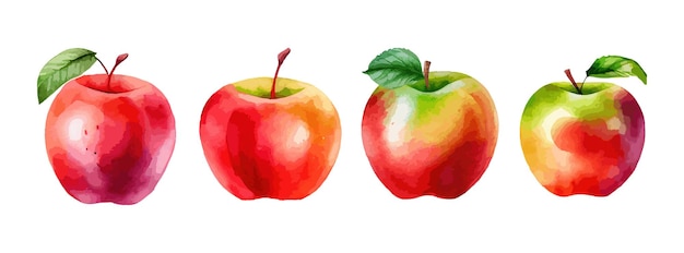 Akwarela Czerwone Jabłko Na Białym Tle świeże Owoce Letnie Słodki Zestaw Realistyczne Jabłko Ilustracji Wektorowych