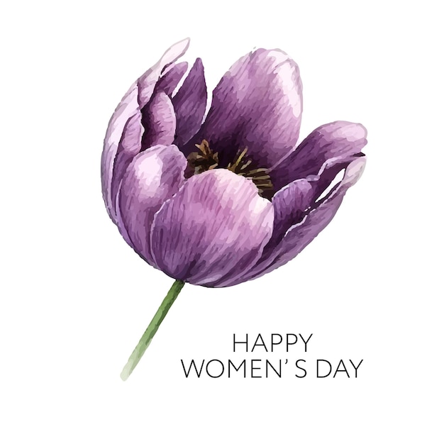 Akwarela Fioletowy Różowy Tulipan Ilustracja Dzień Kobiet Kartkę Z życzeniami