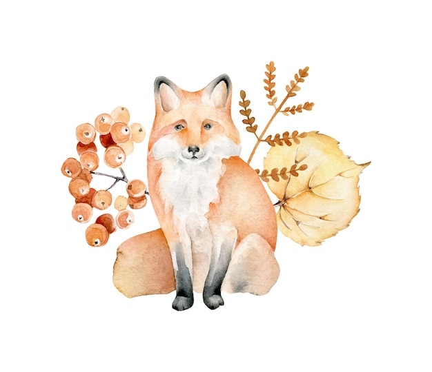 Akwarela Fox