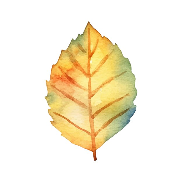 Plik wektorowy akwarela ilustracja jesienny liść
