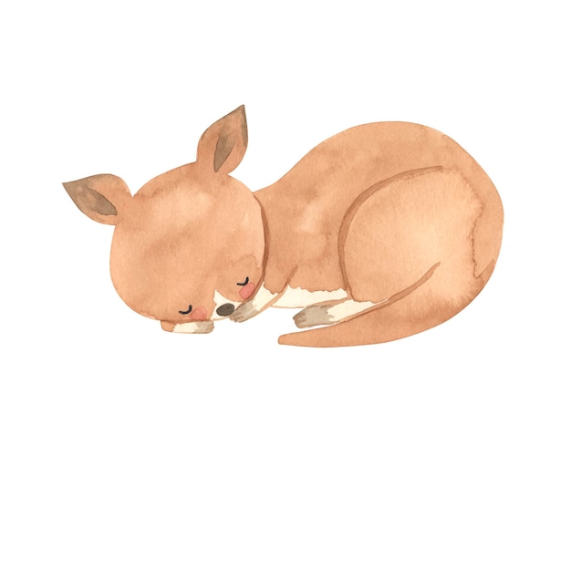 Plik wektorowy akwarela ilustracja kangura dla dzieci