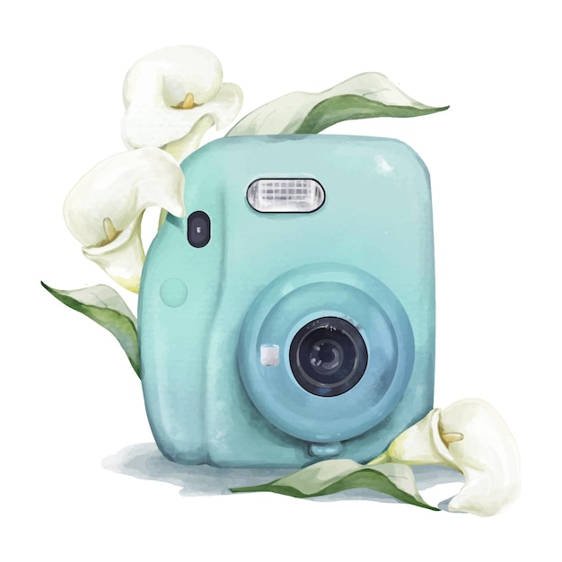 Plik wektorowy akwarela ilustracja kwiat aparatu