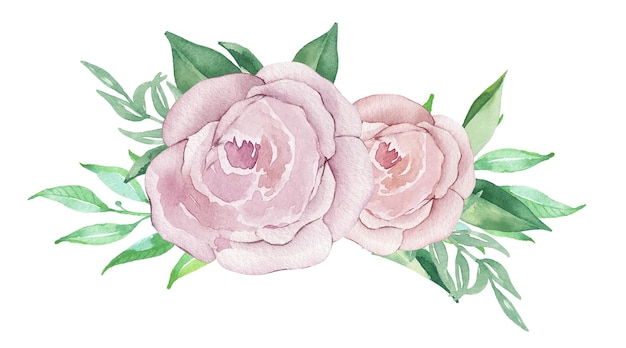 Akwarela ilustracja kwiatów róż i zieleni Kwiatowa ilustracja do logo zaproszeń
