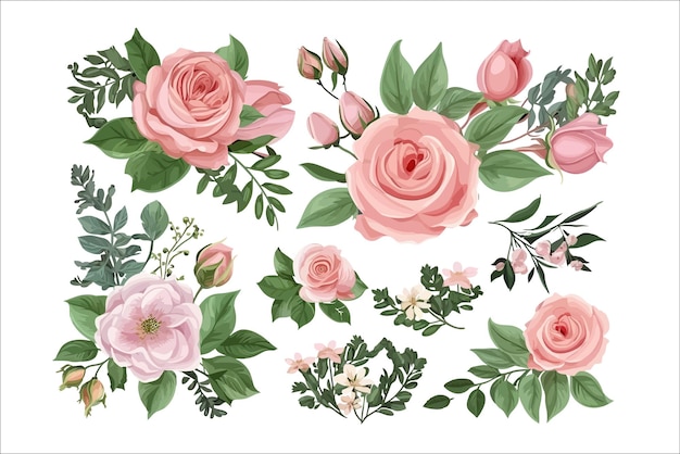 Akwarela Ilustracja Kwiatowy Zestaw Białych Kwiatów Zielonych