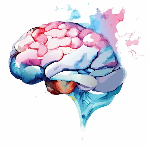 Akwarela ilustracja wektora mózgu