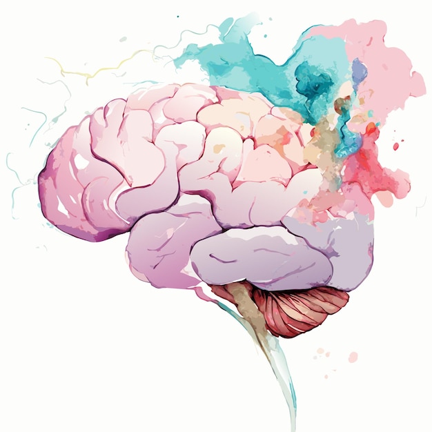 Akwarela ilustracja wektora mózgu