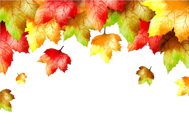 Akwarela jesień jesień sezon tło season