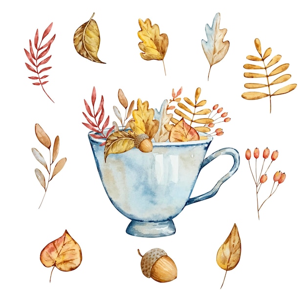 Plik wektorowy akwarela jesienna kompozycja niebieska filiżanka i liście