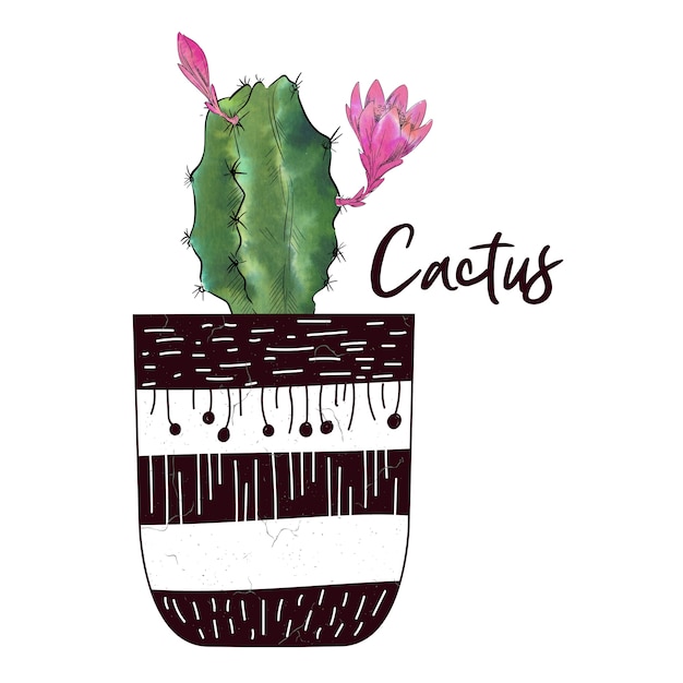 Plik wektorowy akwarela kaktus na białym tle