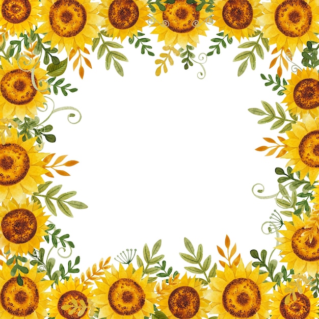 Akwarela kreskówka prosta rama słoneczników na białym tle