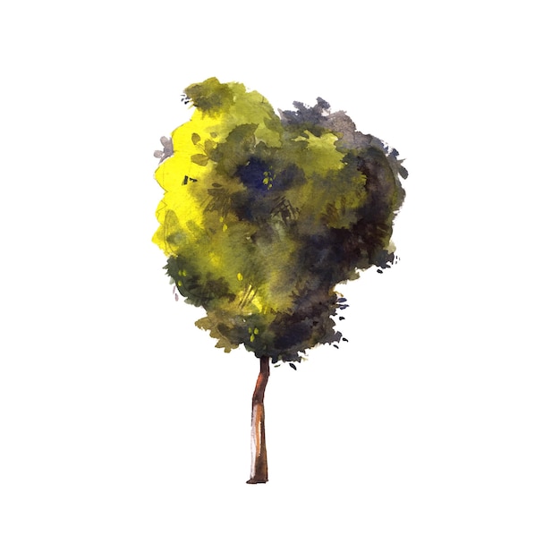 akwarela malarstwo artystycznego drzewa