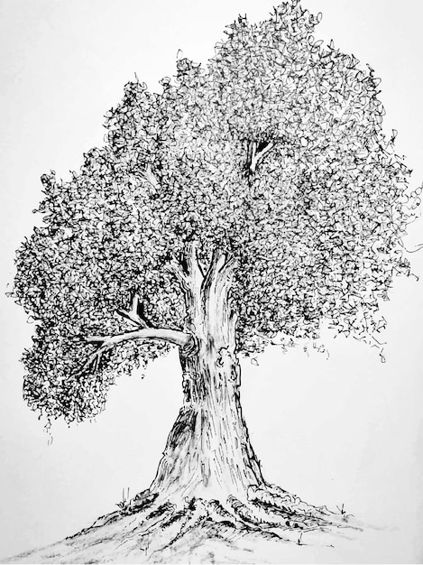 Akwarela Malarstwo Drzewa Przyrody Na Tle Papieru