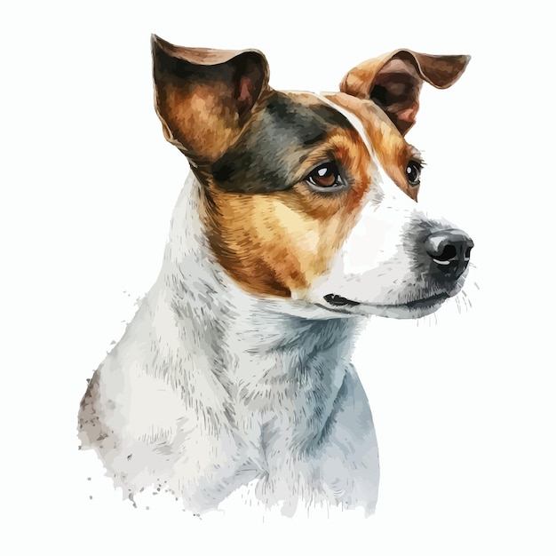 Plik wektorowy akwarela pies domowych rasy jack russel portret ilustracja handdrawn ilustracja na białym tle na białym tle w stylu boho