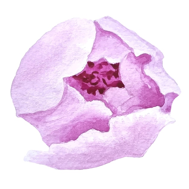 Plik wektorowy akwarela piwonia ręcznie rysowane kwiatowy clipart