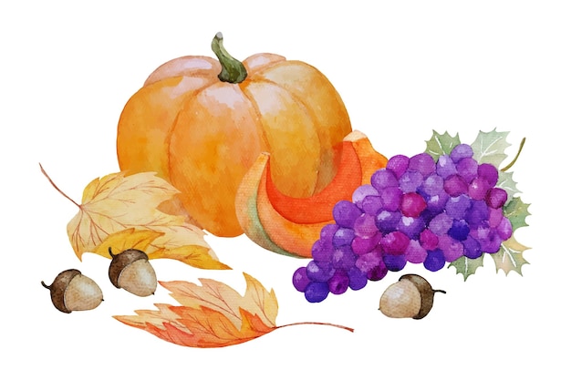 akwarela ręcznie malowana jesienna kompozycja z dynią, winogronem, liśćmi klonu i żołędziami