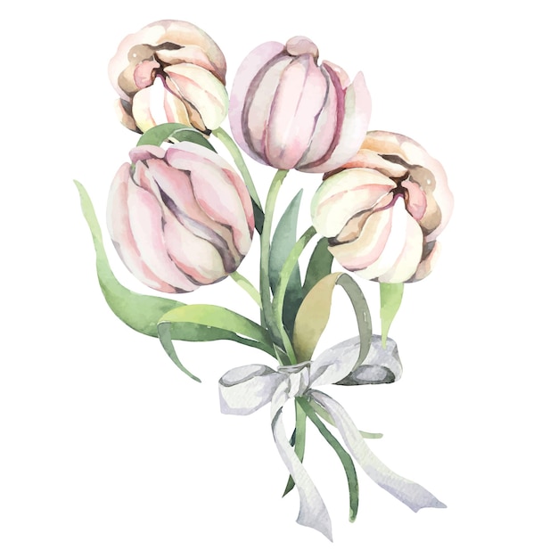 Akwarela Ręcznie Rysowane Tulipanwiosenne Kwiatydekoracja Botaniczna Na Zaproszenie W Stylu Vintage
