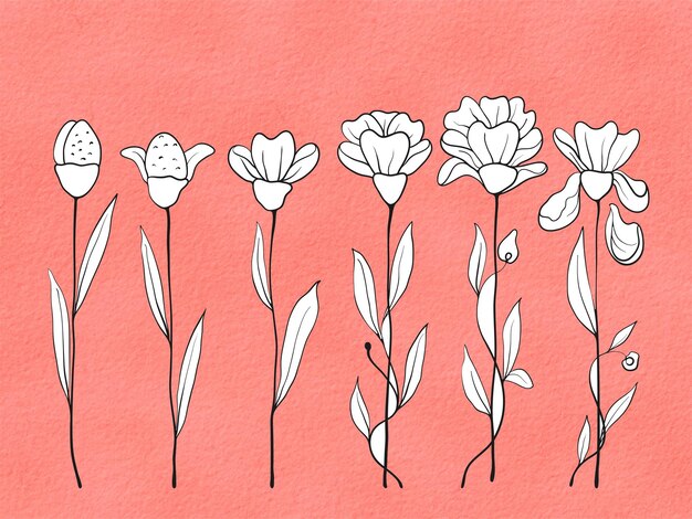 Plik wektorowy akwarela różowe tło ręcznie rysowane z linią doodle kwiatu