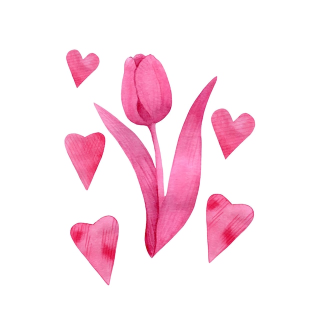 Akwarela różowy zestaw elementów na Walentynki z różowym tulipanem i sercami