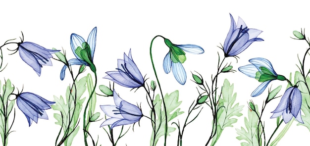 Plik wektorowy akwarela rysunek bezszwowe ramki przezroczyste kwiaty przebiśnieg i dzwonek