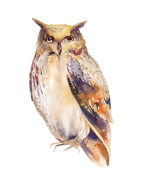 Akwarela sowa Ręcznie narysowana ilustracja Rącznie narysowane zwierzę