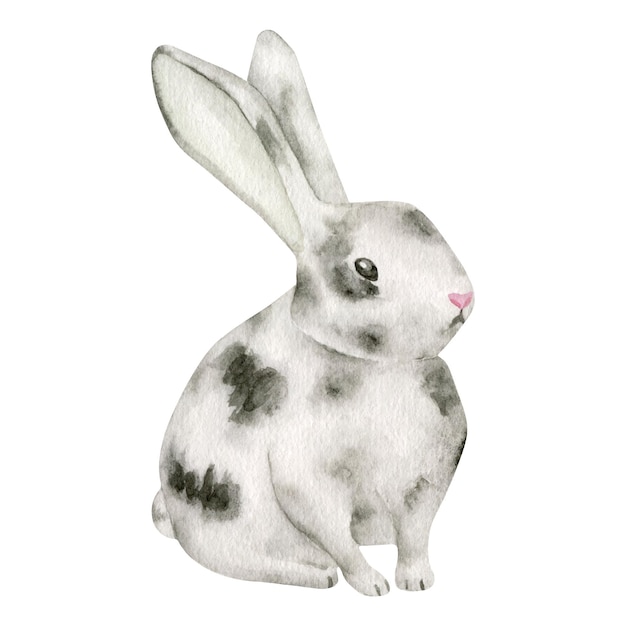 Akwarela szary cętkowany króliczek ilustracja ładny królik