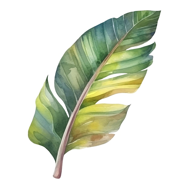 Plik wektorowy akwarela tropikalnego liścia ilustracja ai