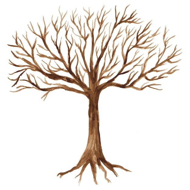 Plik wektorowy akwarela wektor rysunek sylwetka streszczenie liściaste nagie drzewo z korzeniami