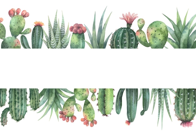 Plik wektorowy akwarela wektor transparent kaktusów i sukulentów na białym tle