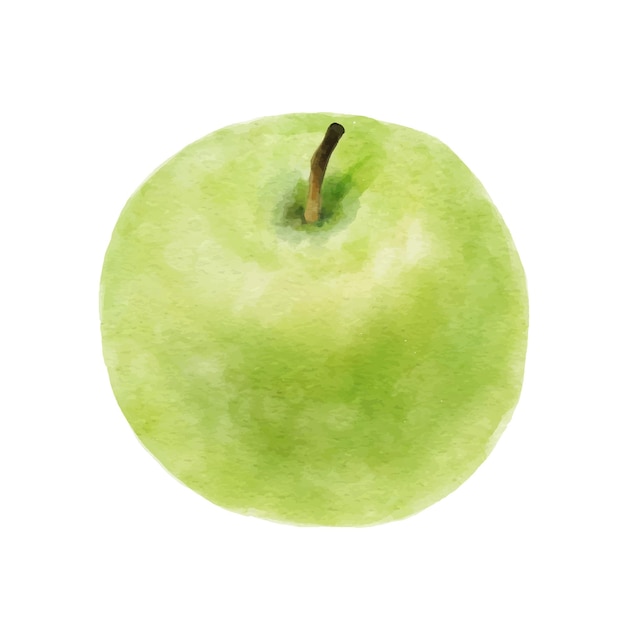 Akwarela zielone jabłko na białym tle na tle whitexA