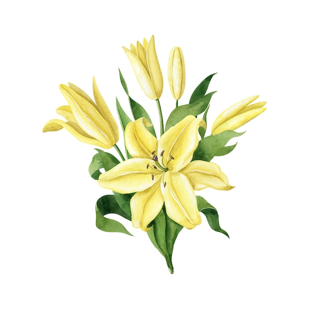 Akwarela żółte lilie kwiatowy bukiet na białym Ilustracja Handdrawn Vector clipart