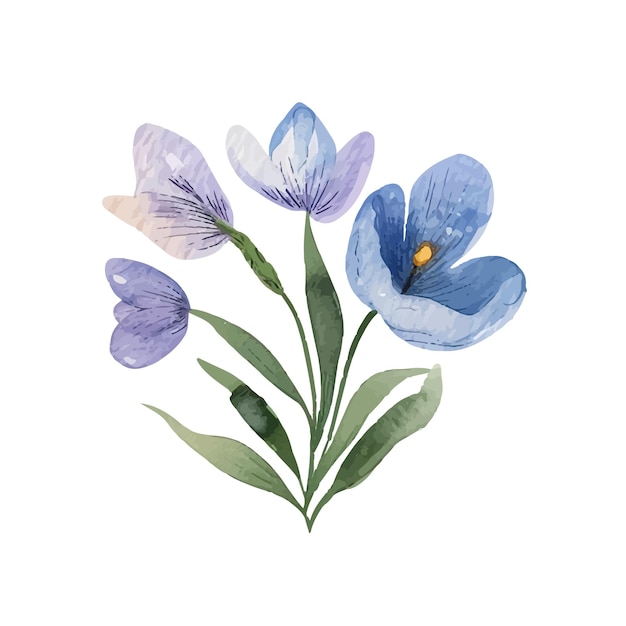 Plik wektorowy akwarele niebieskie kwiaty z liśćmi koncepcja z układami kwiatowymi izolowanymi na białym tle