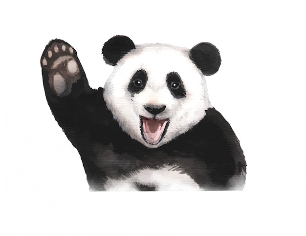 Akwarele Ręcznie Malowane Ilustracja Panda Bear