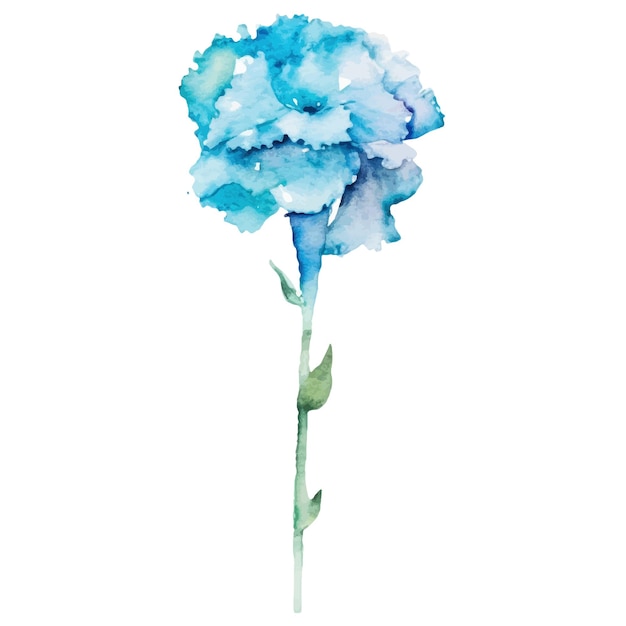 Akwarelowo Namalowany Kwiat Goździka Ręcznie Narysowany Element Projektu Izolowany Na Białym Tle