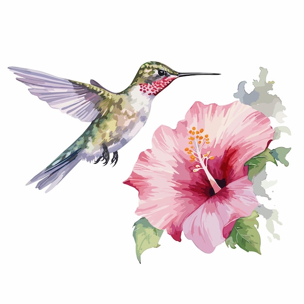 akwarelowy kolibri i kwiat