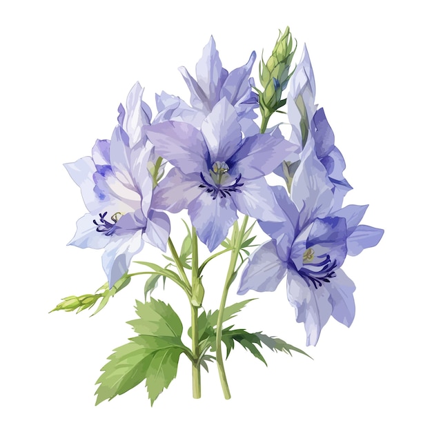 Akwarelowy Nowy Milenium Delphinium Clipart Edytowalne Białe Tło