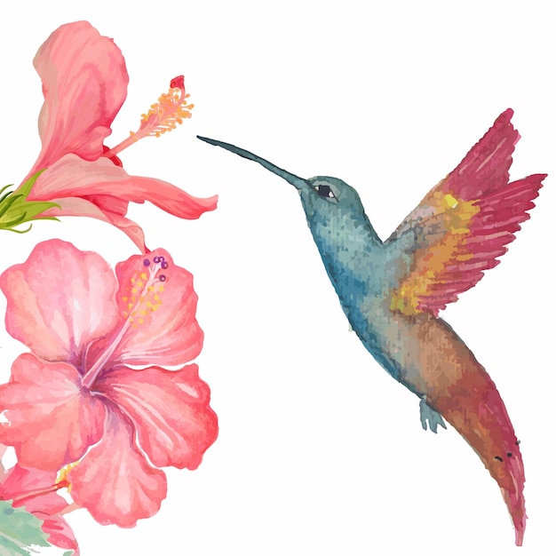 akwarelowy ptak kolibri i kwiat hibiskusa