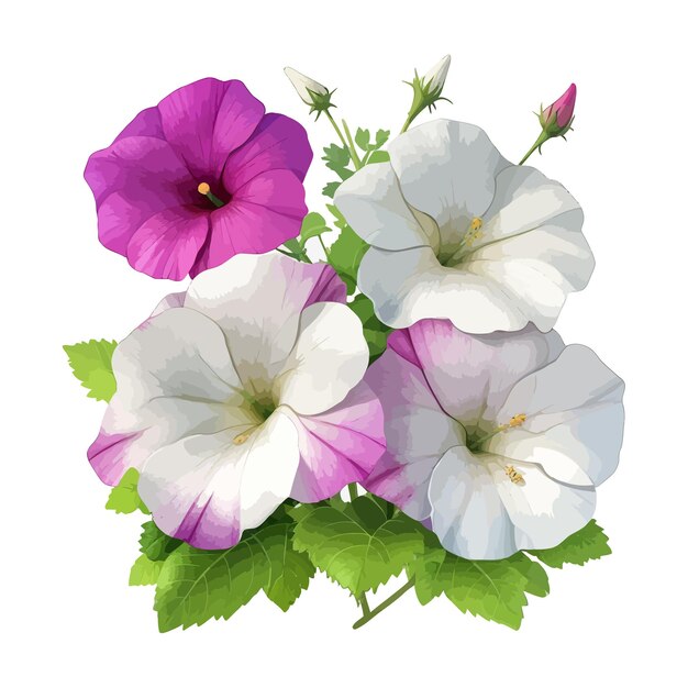 Plik wektorowy akwarelowy wielopłodny petunia clipart edytowalne białe tło